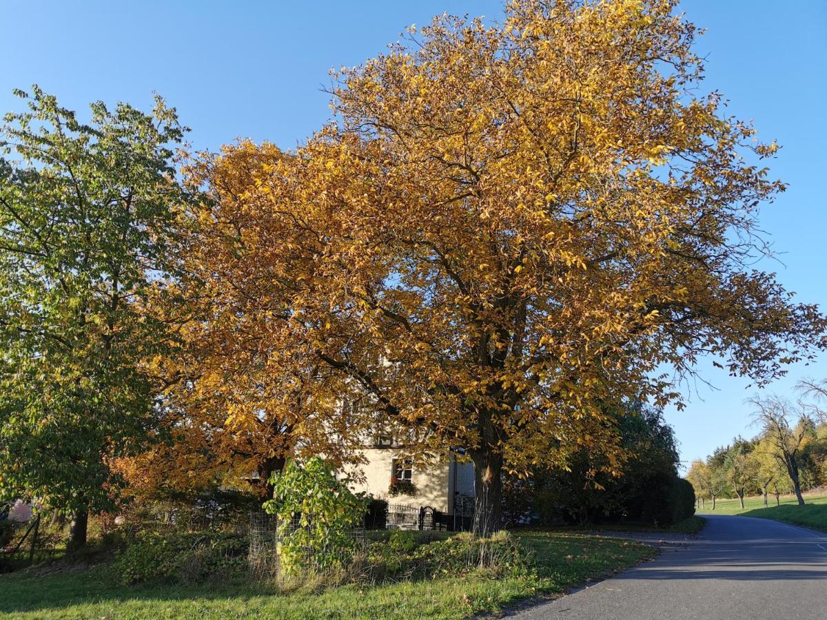 Ferienwohnung "Am Saalehaken" Gossitz 外观 照片