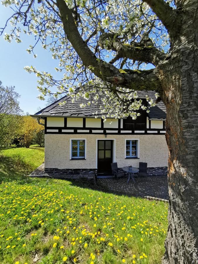 Ferienwohnung "Am Saalehaken" Gossitz 外观 照片